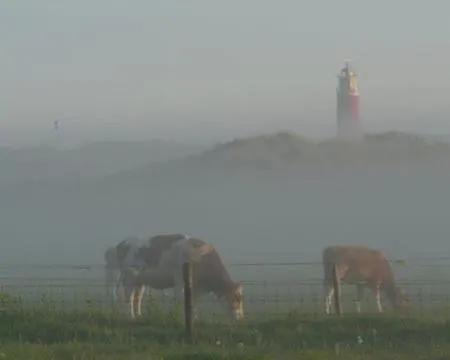 Duin/vuurtorenzicht Prázdninový dům